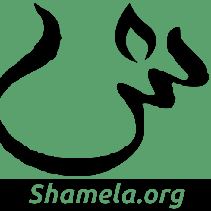 Shamela Quotes Captivity And Sentiment By Michelle Burnham HTML